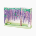 Sanrio 3D Greeting Card - Wisteria - Limited Edition