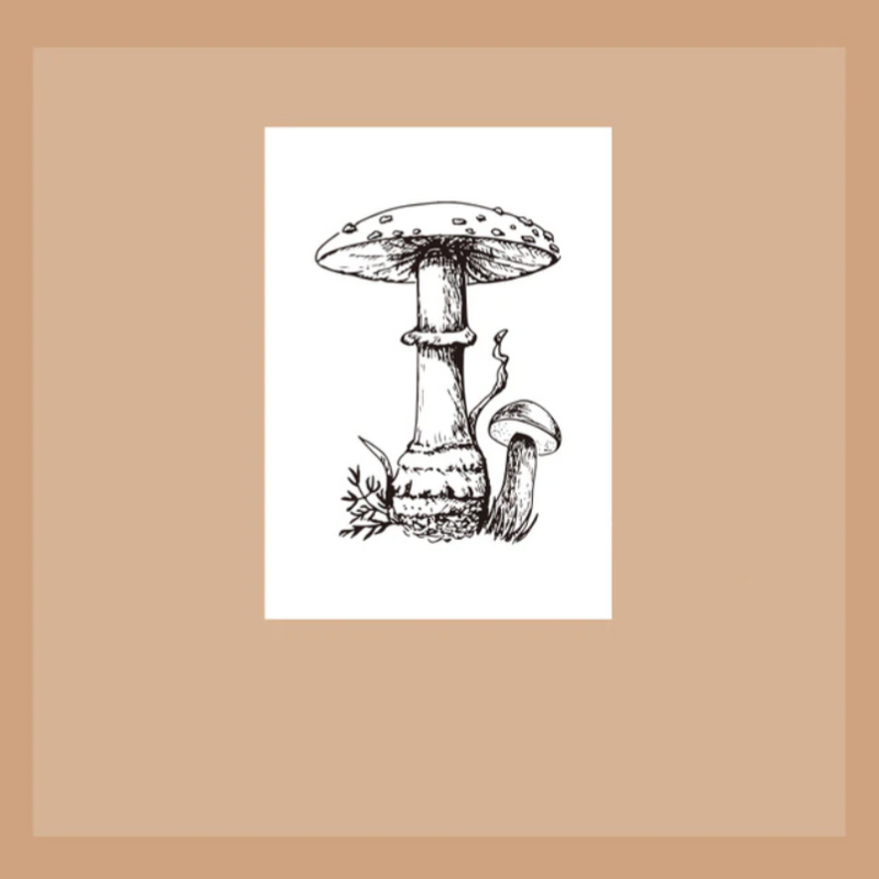 Wild Nature Acrylic Stamps