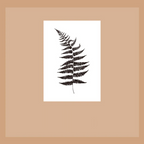 Wild Nature Acrylic Stamps