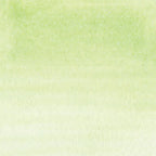 ZIG Real Brush - Pale Green (No. 045)