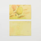2024 Postcards Bundle / Bungu