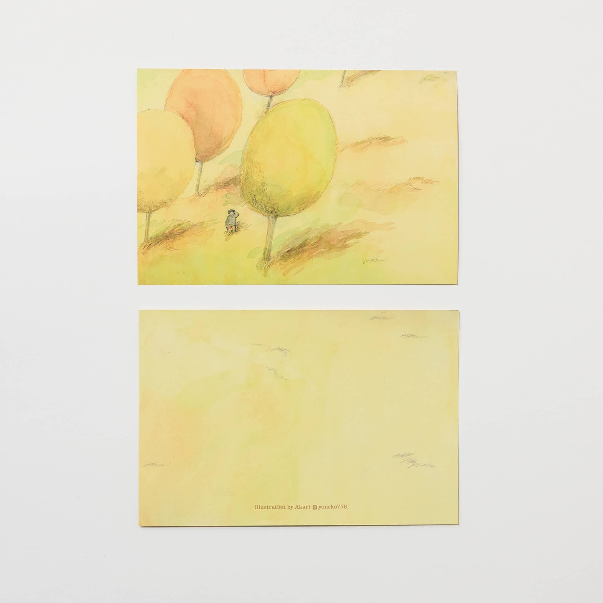 2024 Postcards Bundle / Bungu