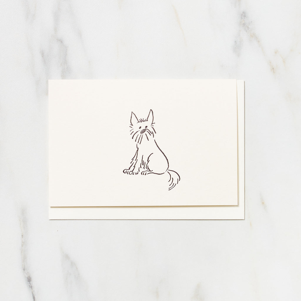 Alex the Dog Card / Letterpress Letters