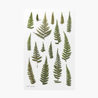 Appree Pressed Flower Stickers - Bracken Fern