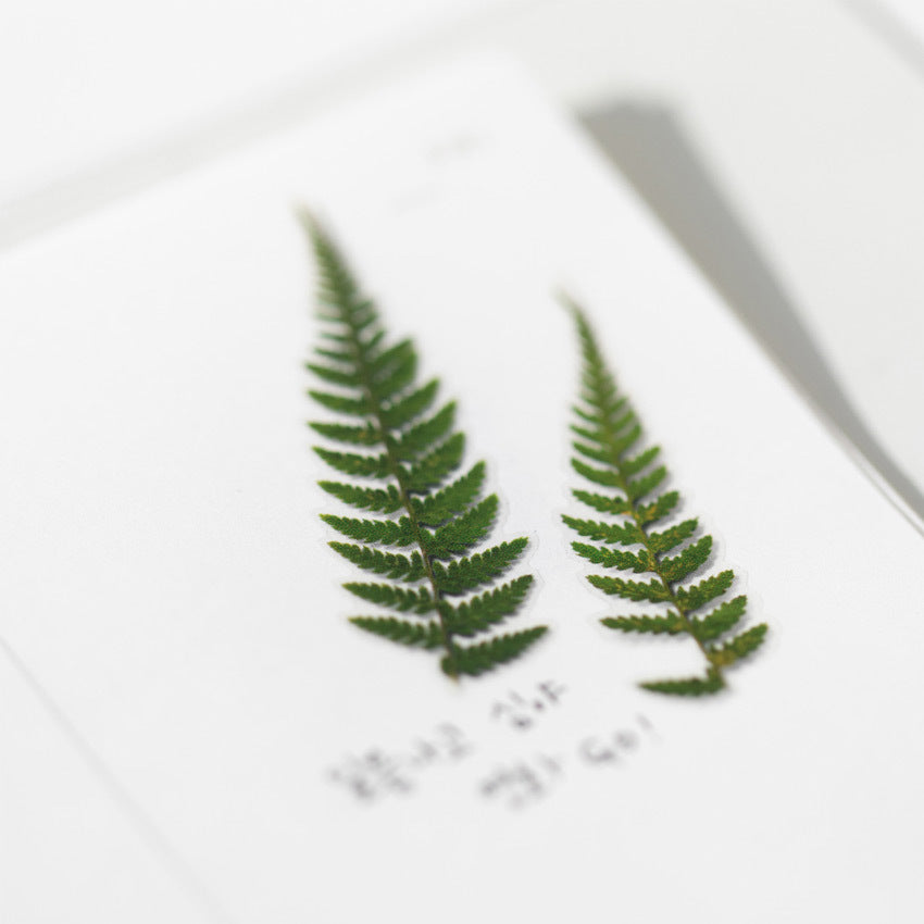 Appree Pressed Flower Stickers - Bracken Fern