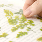 Appree Pressed Flower Stickers - Adiantum