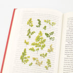 Appree Pressed Flower Stickers - Adiantum