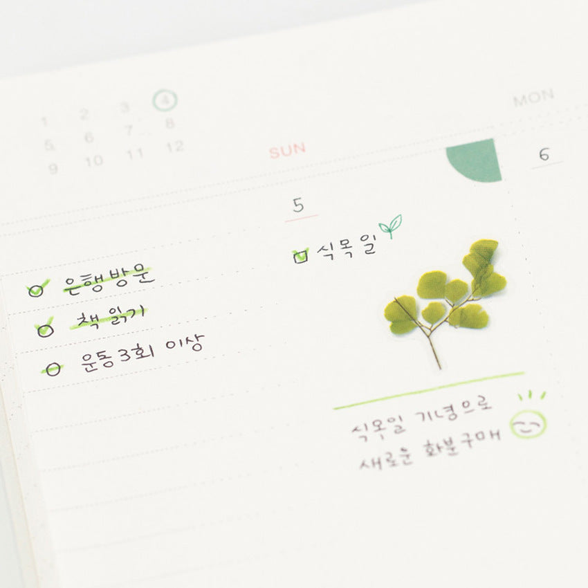 Appree Pressed Flower Stickers - Adiantum