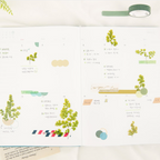 Appree Pressed Flower Stickers - Adiantum
