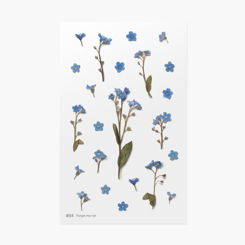 Appree Pressed Flower Stickers - Forget-me-not