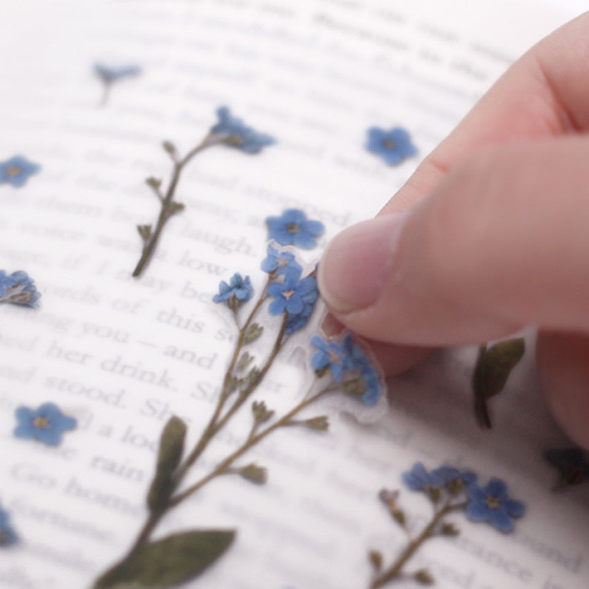 Appree Pressed Flower Stickers - Forget-me-not