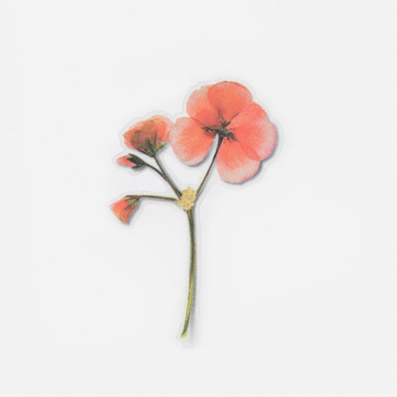 Appree Pressed Flower Stickers - Geranium