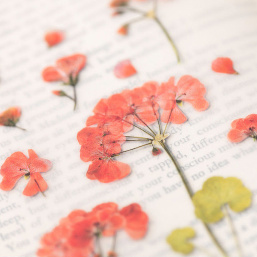 Appree Pressed Flower Stickers - Geranium