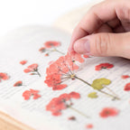 Appree Pressed Flower Stickers - Geranium