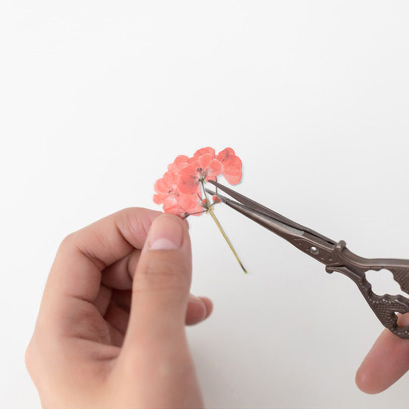 Appree Pressed Flower Stickers - Geranium