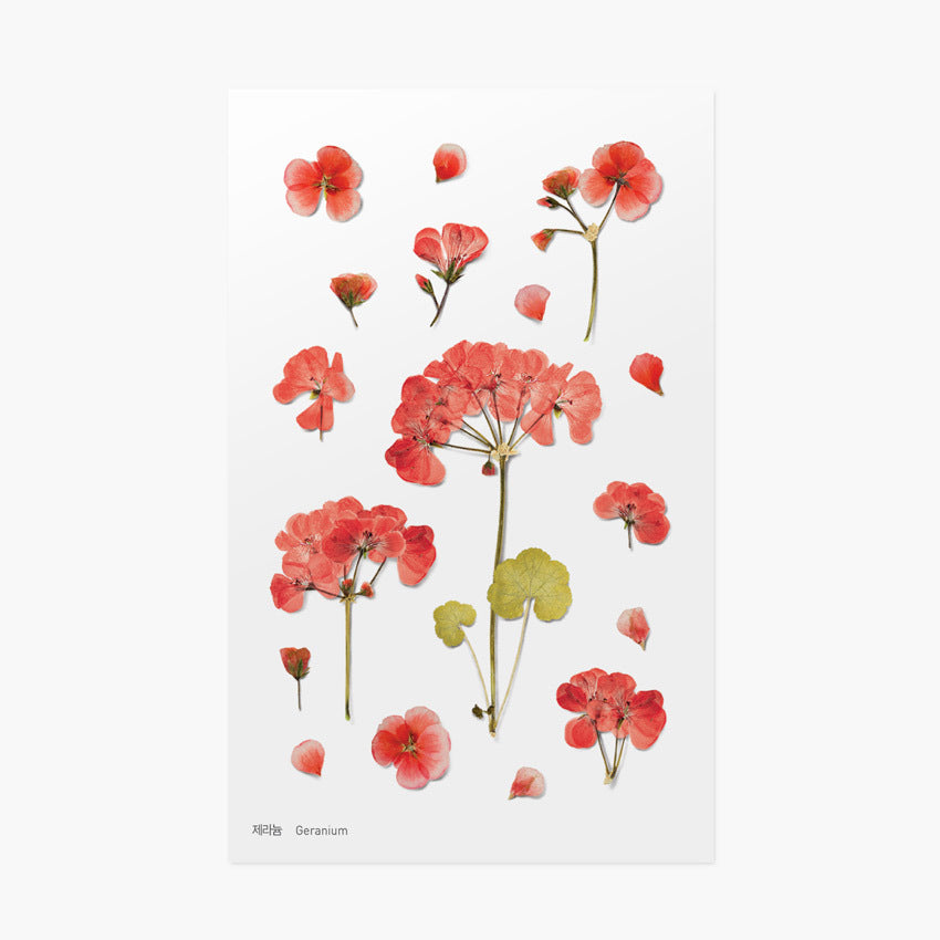 Appree Pressed Flower Stickers - Geranium