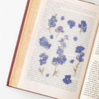 Appree Pressed Flower Stickers - Larkspur