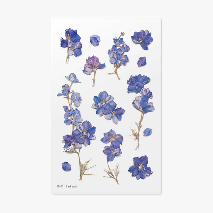 Appree Pressed Flower Stickers - Larkspur