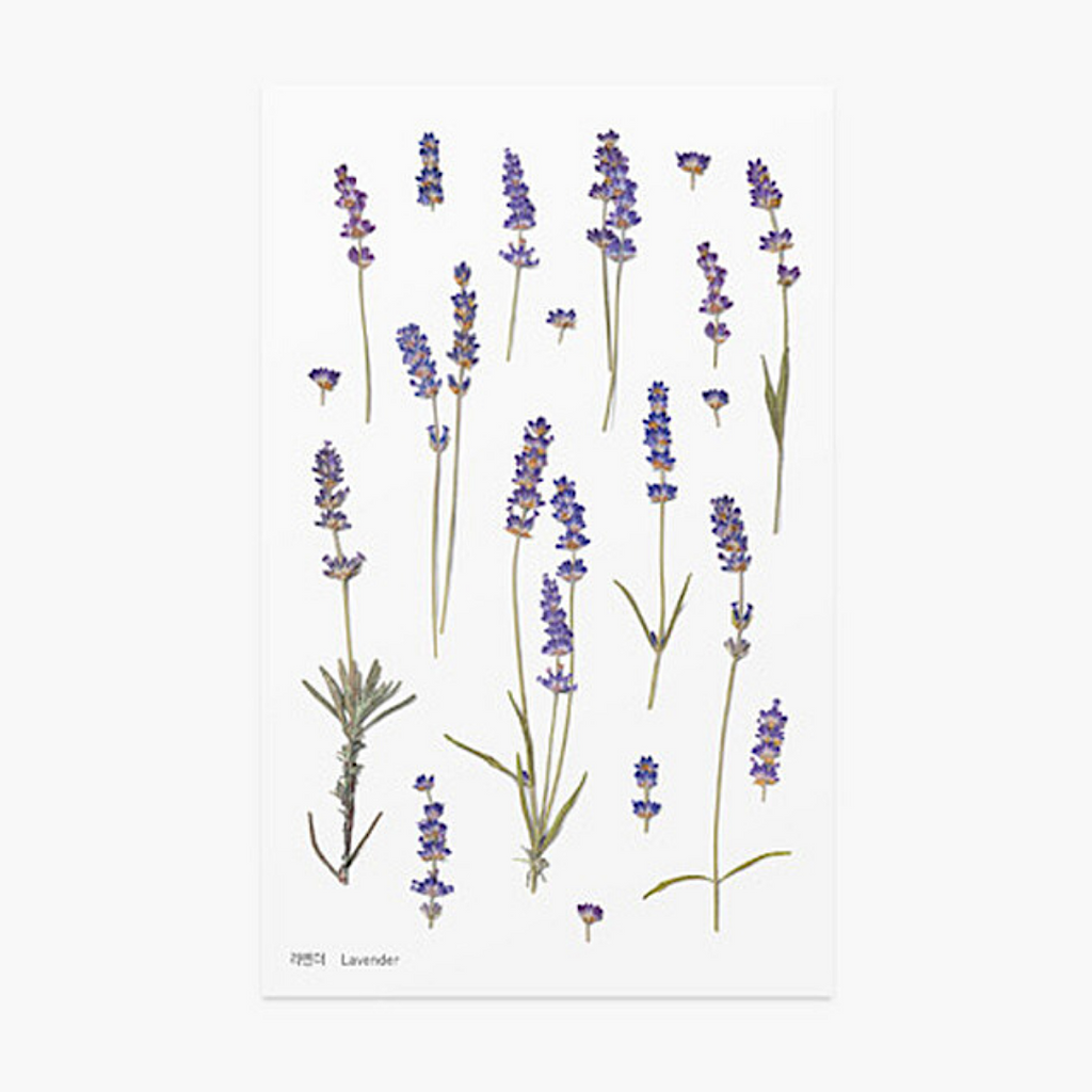 Appree Pressed Flower Stickers - Lavender