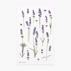 Appree Pressed Flower Stickers - Lavender
