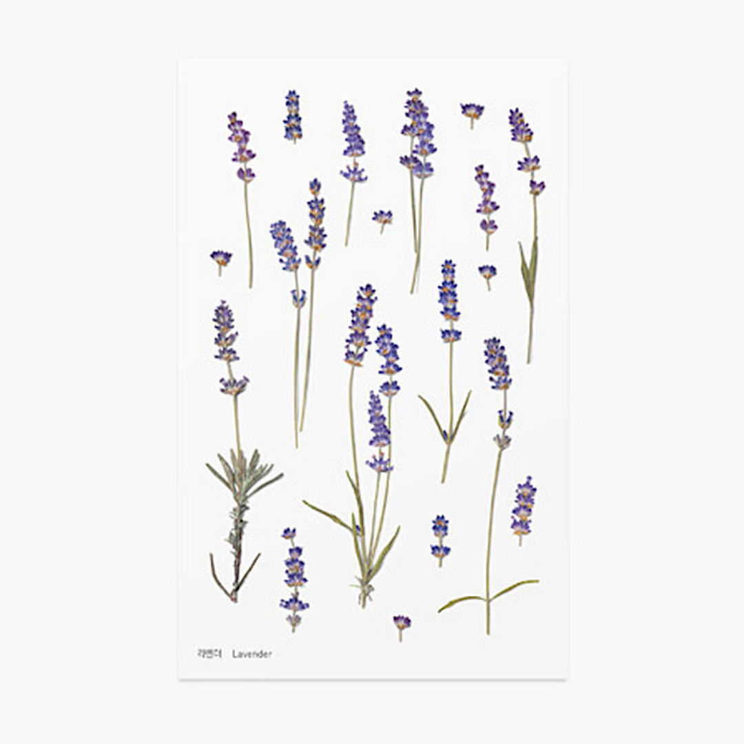 Appree Pressed Flower Stickers - Lavender