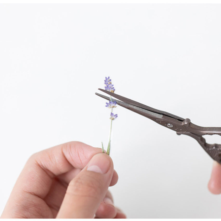 Appree Pressed Flower Stickers - Lavender