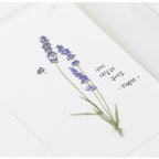 Appree Pressed Flower Stickers - Lavender
