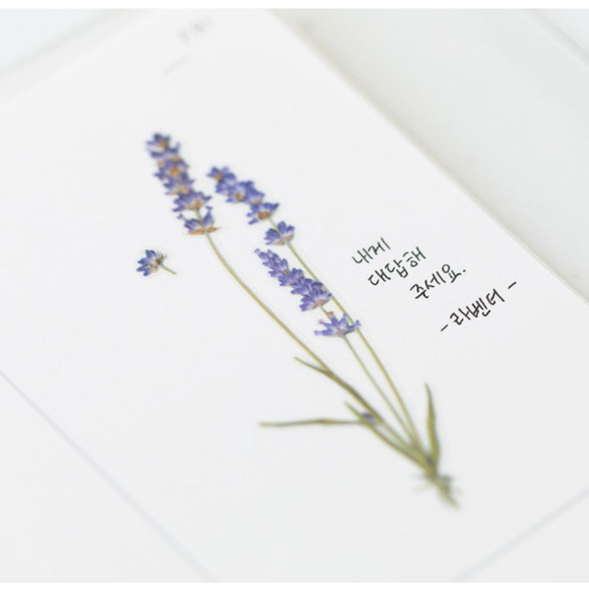 Appree Pressed Flower Stickers - Lavender