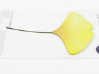 Appree Tracing Paper Sticky Notes
