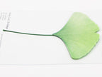 Appree Tracing Paper Sticky Notes