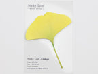 Appree Sticky Leaf
