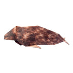 Arctic and Antartic Animal Origami Sets / Marumo Printing