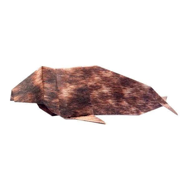 Arctic and Antartic Animal Origami Sets / Marumo Printing