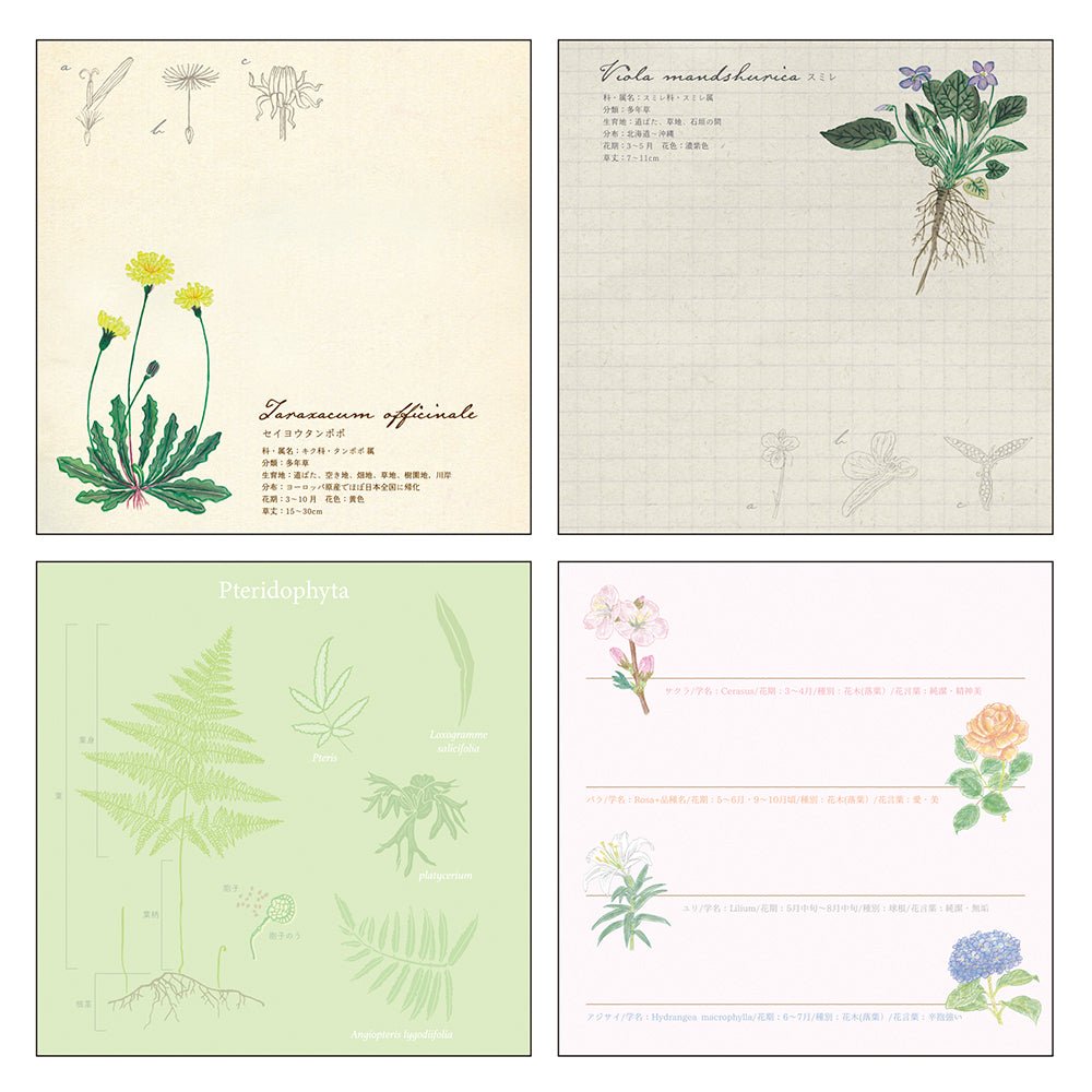 STUDY HOLIC Memo Pad Square / GreenFlash