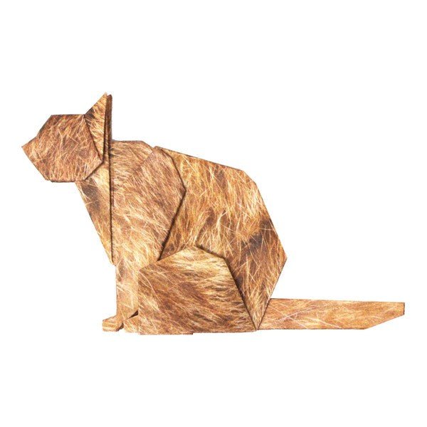 Cat Origami Set / Marumo Printing