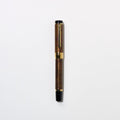 CYLINT Patina Fountain Pen / Sailor