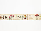 mt ex Encyclopedia of Plants