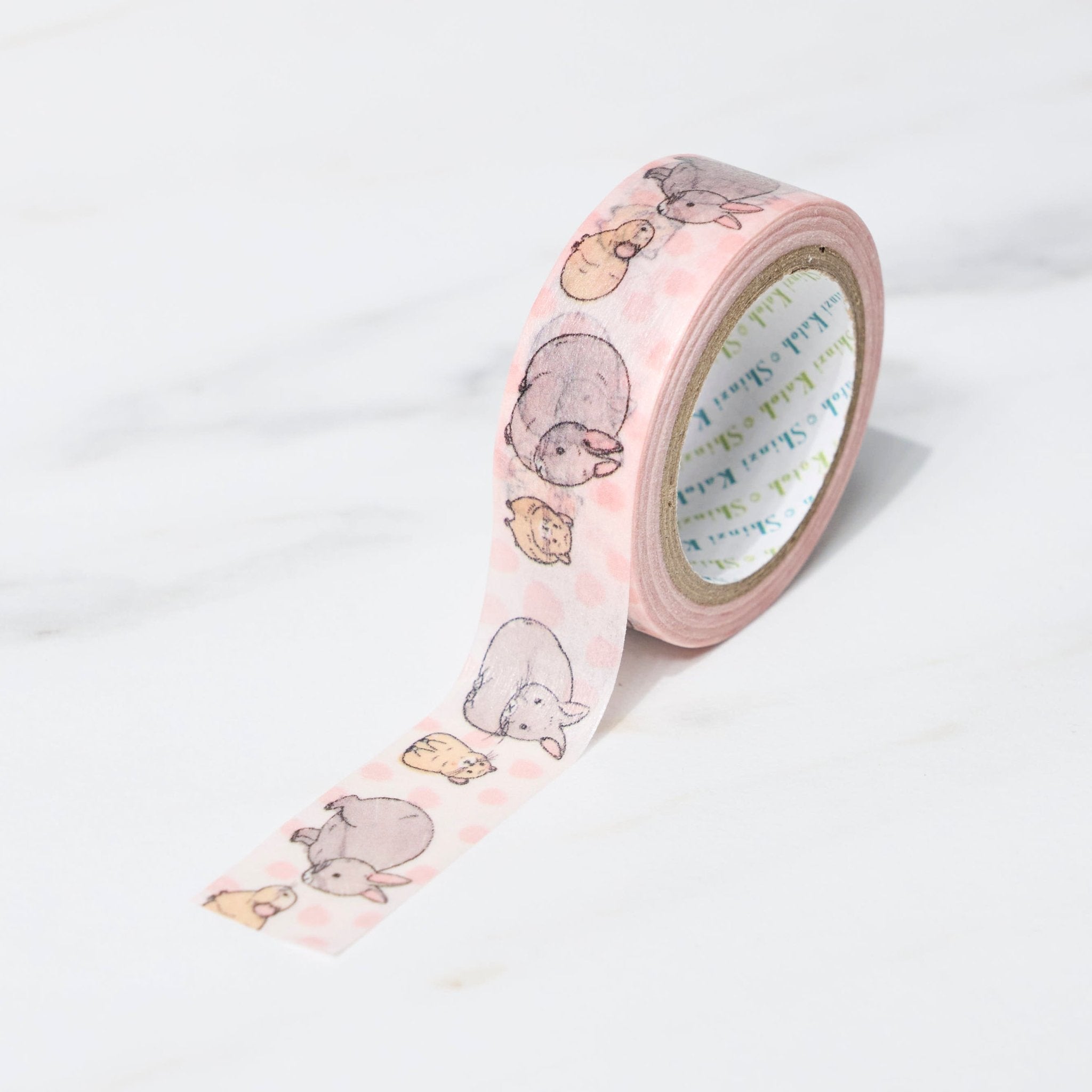 Endangered Species Masking Tape Shinzi Katoh / Seal Do