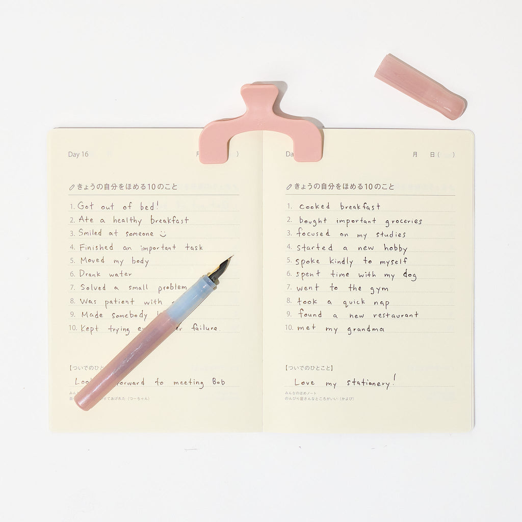 Everyday Praise Journaling Set: Pink