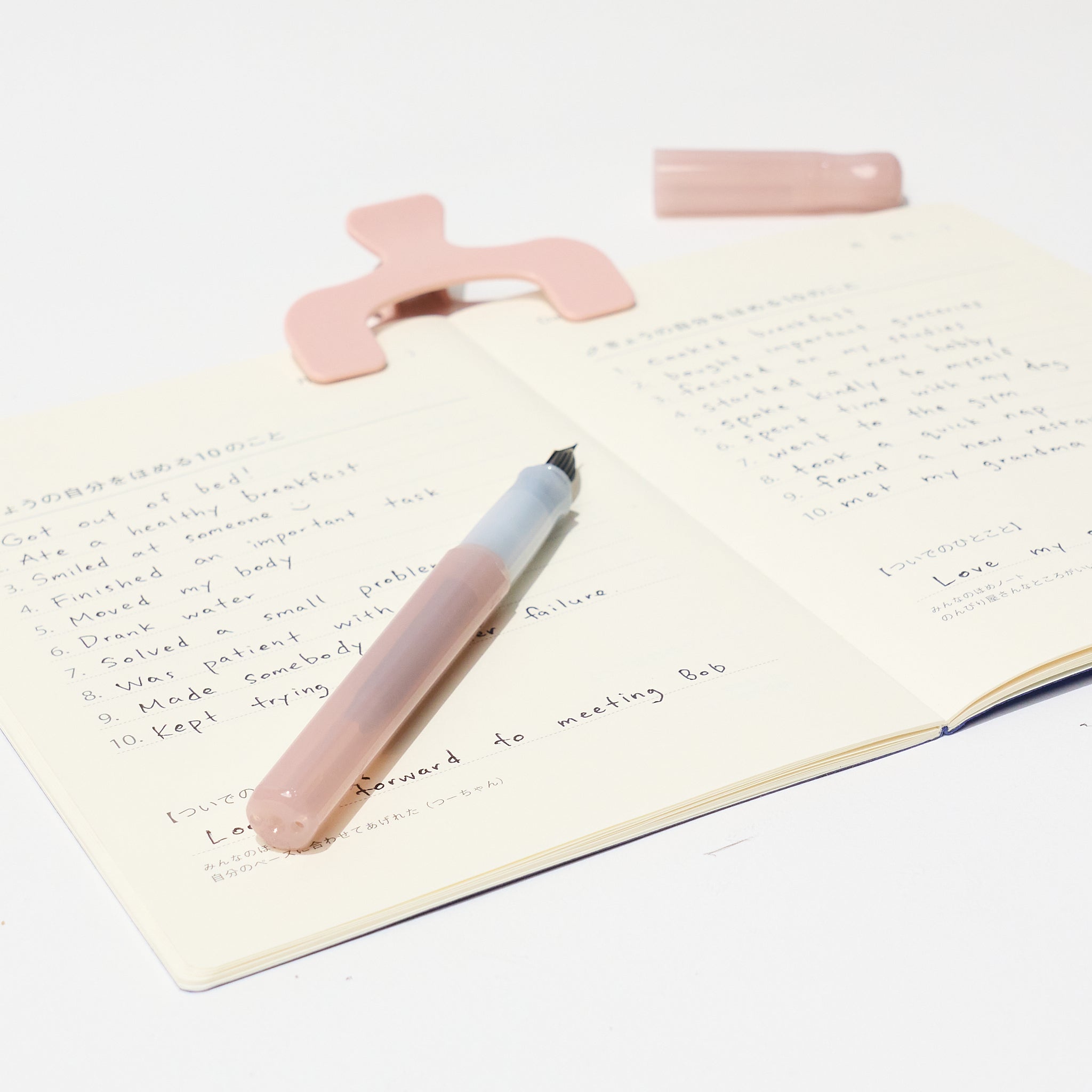 Everyday Praise Journaling Set: Pink
