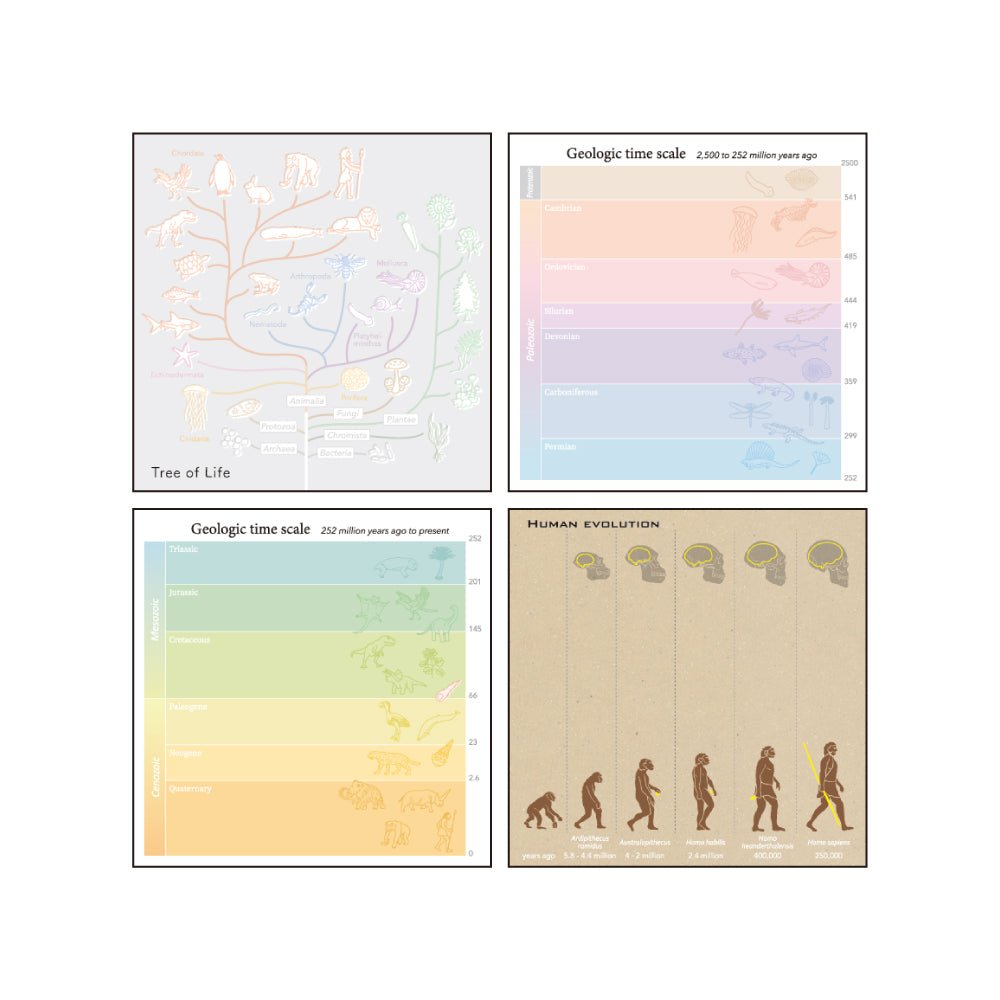 Evolutionary Biology STUDY HOLIC Bundle / GreenFlash