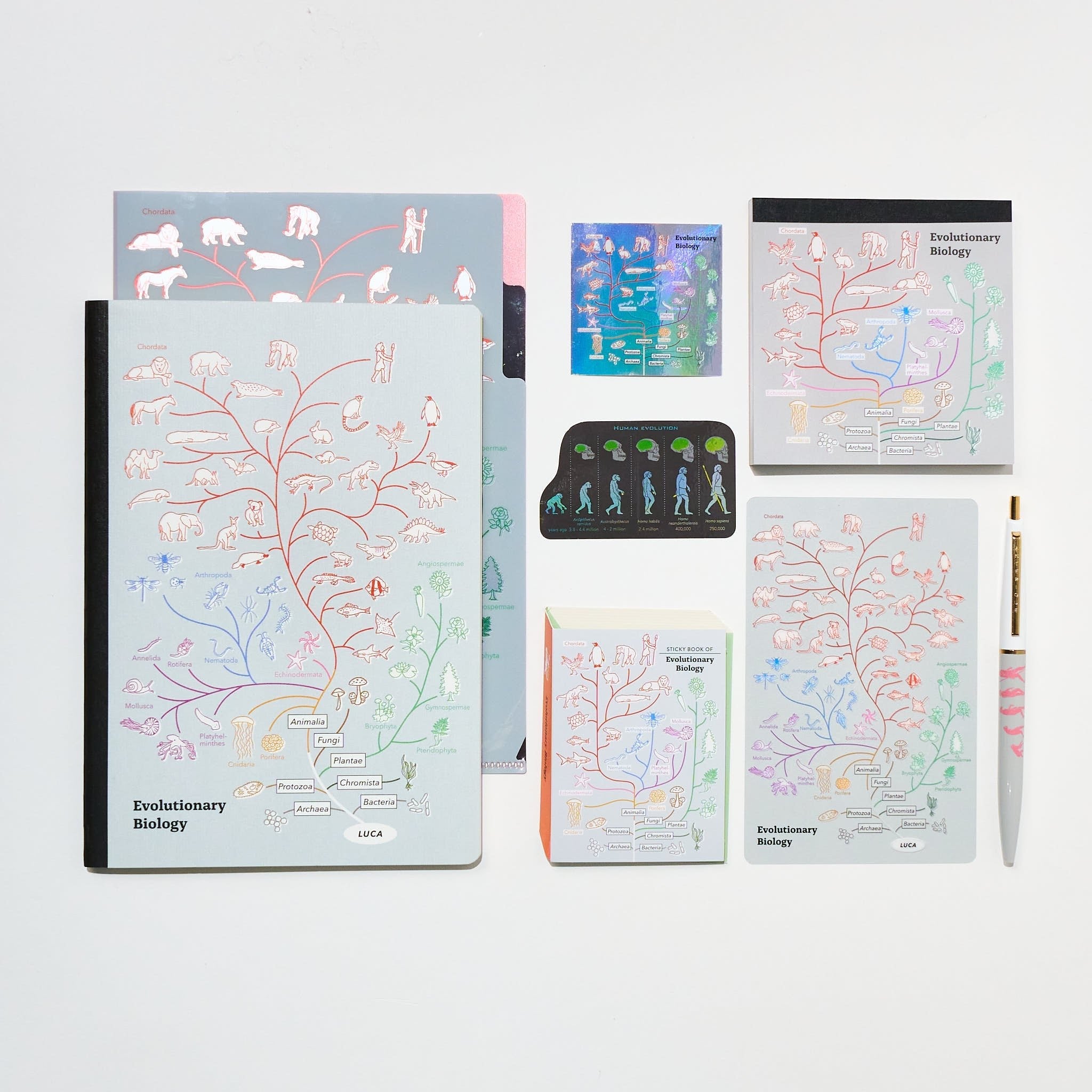 Evolutionary Biology STUDY HOLIC Bundle / GreenFlash