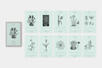 Ex Libris Bookplate Sticker Series / TOUCH & FLOW