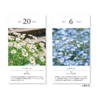 Flower Daily Calendar 2026 / Shin Nihon Calendar