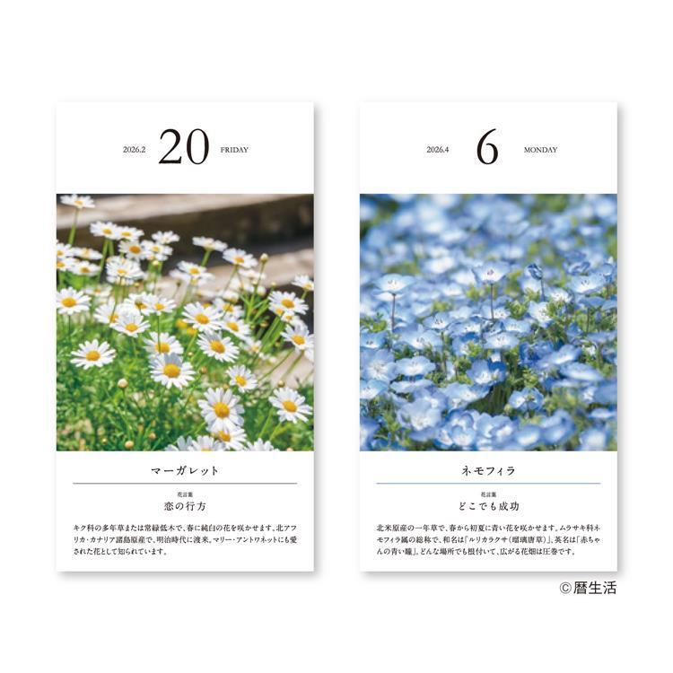 Flower Daily Calendar 2026 / Shin Nihon Calendar