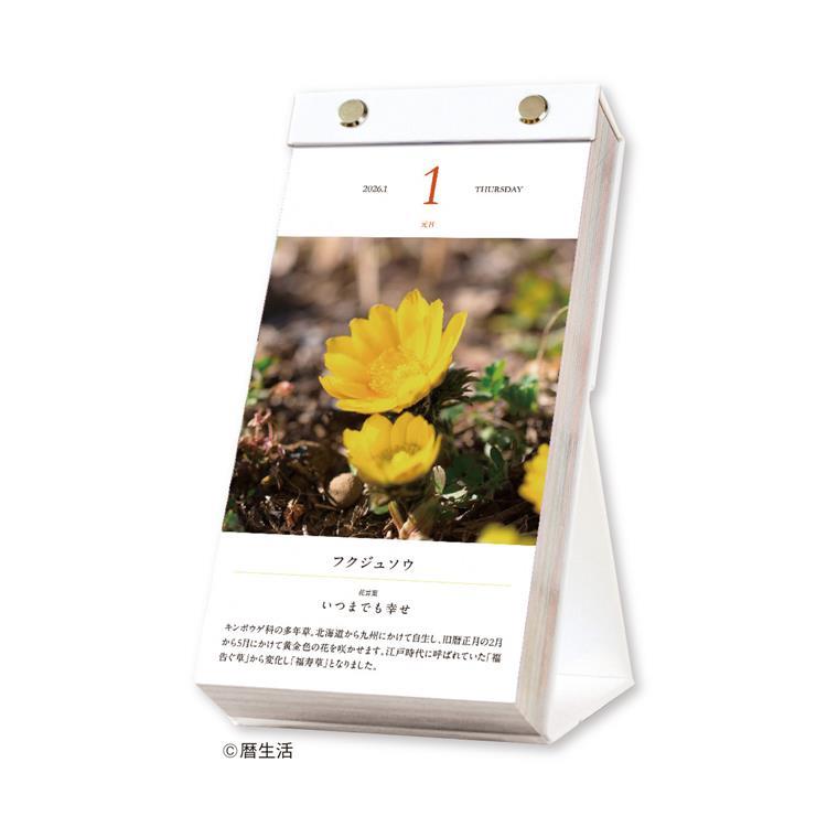 Flower Daily Calendar 2026 / Shin Nihon Calendar