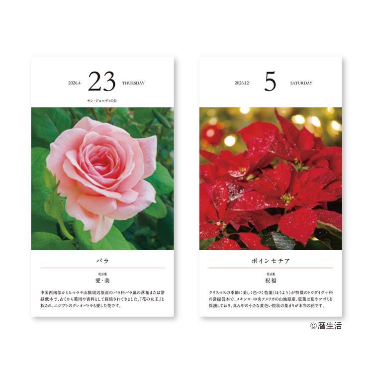 Flower Daily Calendar 2026 / Shin Nihon Calendar