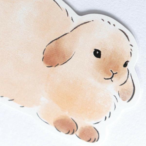 Funwaka Animal Message Cards / NB