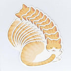 Funwaka Animal Message Cards / NB