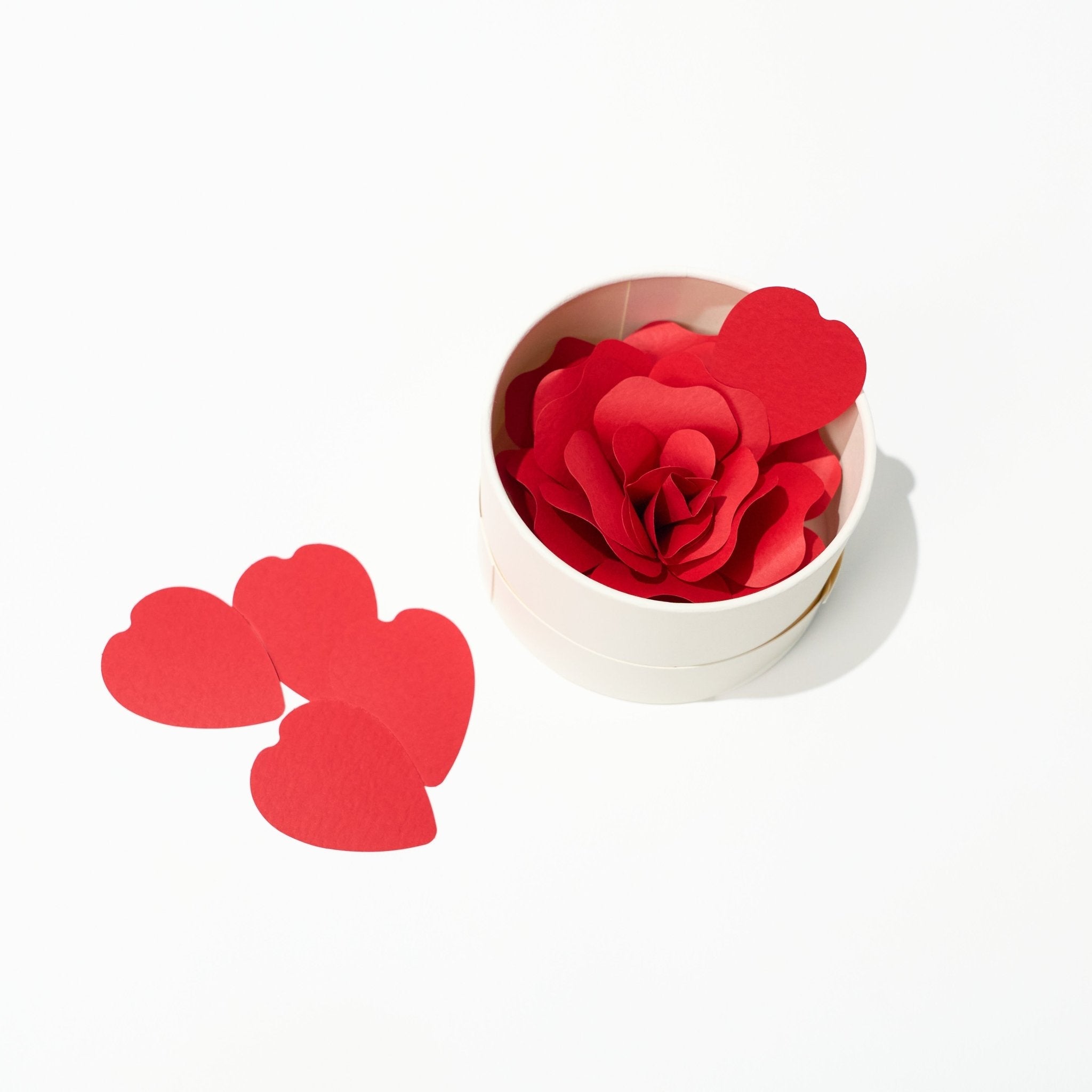 Hanafumi Paper Flower Card / archshop
